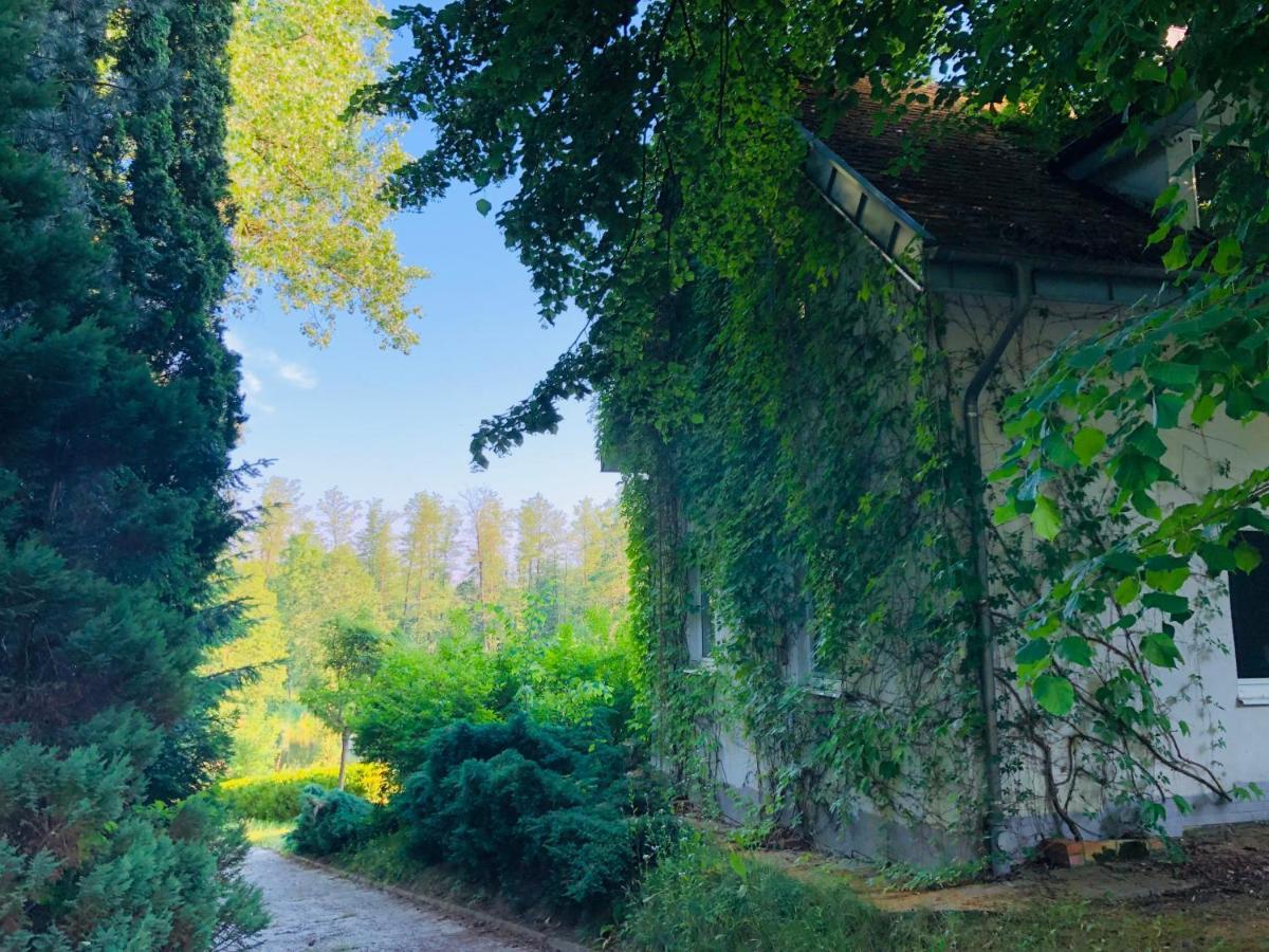 Cottage House 卢布林 外观 照片