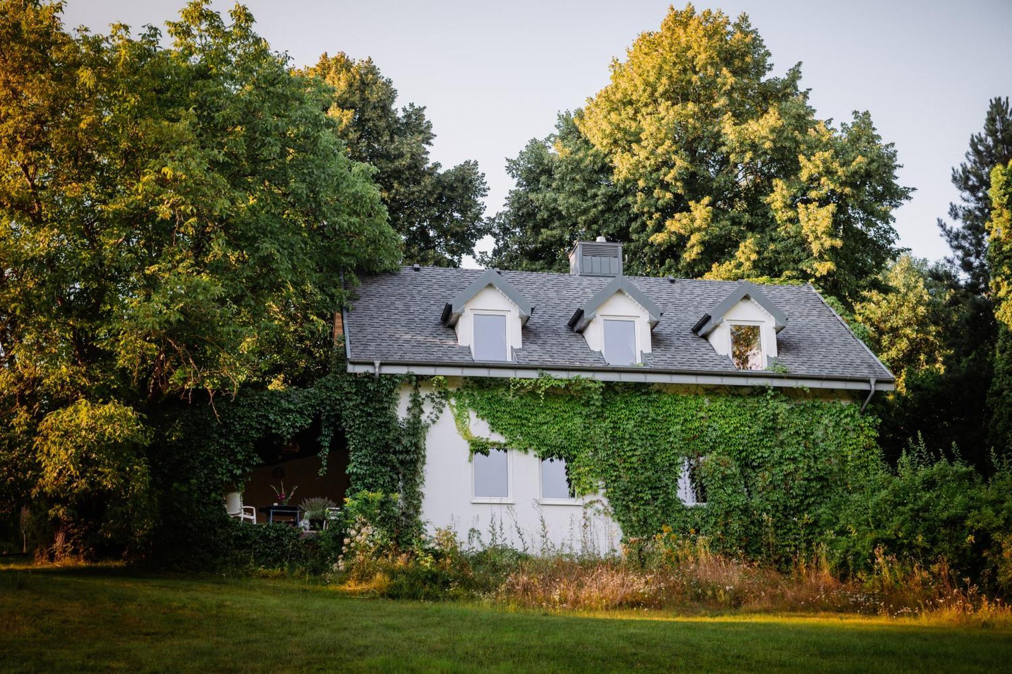 Cottage House 卢布林 外观 照片